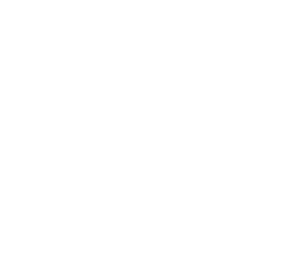 Alucard Cartões de Luxo